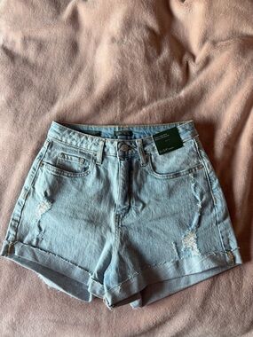 wild fable Light Blue Distressed Denim Shorts
